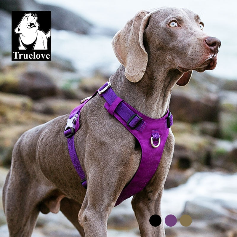 Truelove Waterproof Dog Harness PrimalPetSupplies