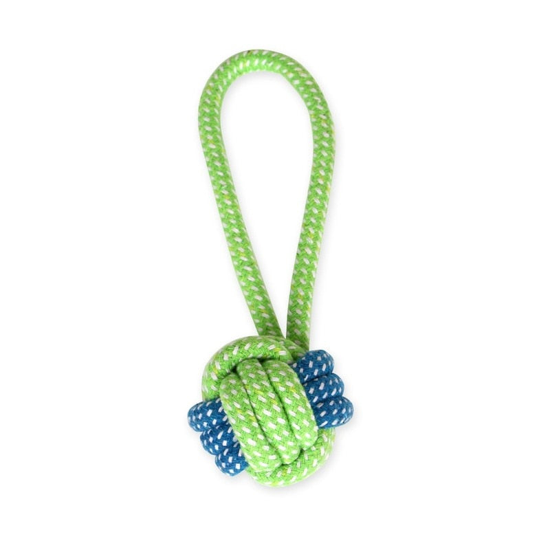 13 Pet Toys for Small Dogs