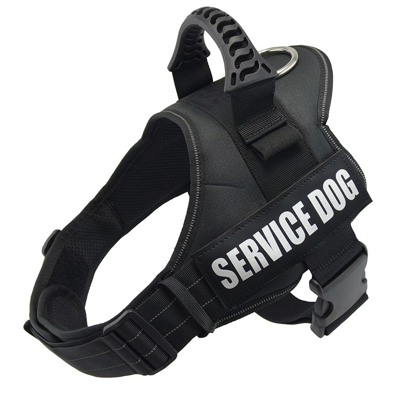 Service Dog Harness