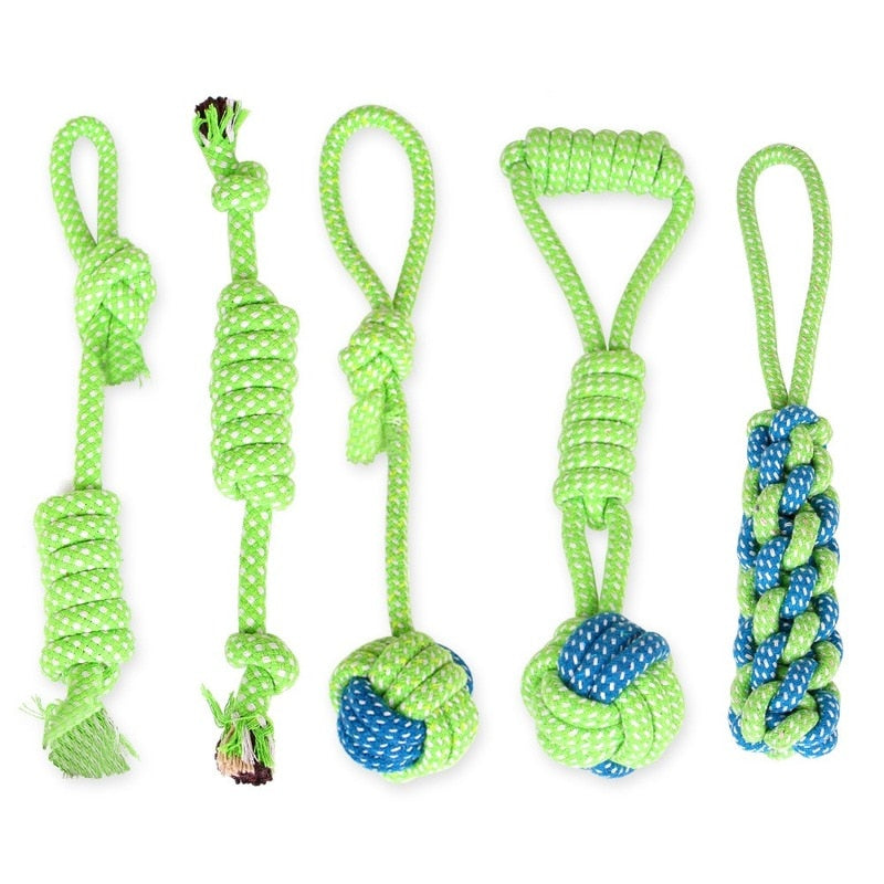 13 Pet Toys for Small Dogs