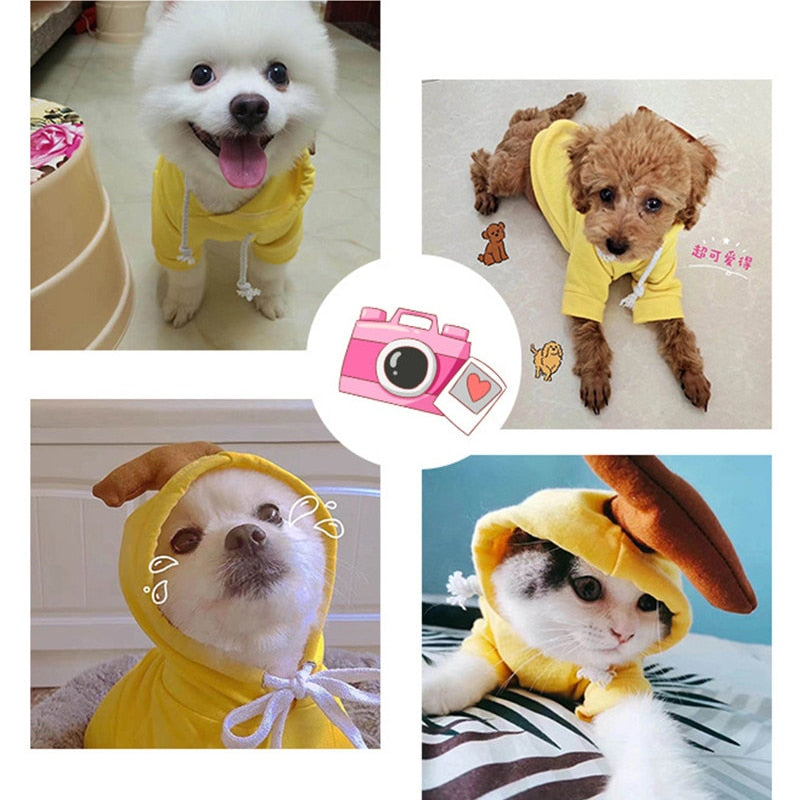 Cute Fruit Dog Clothes