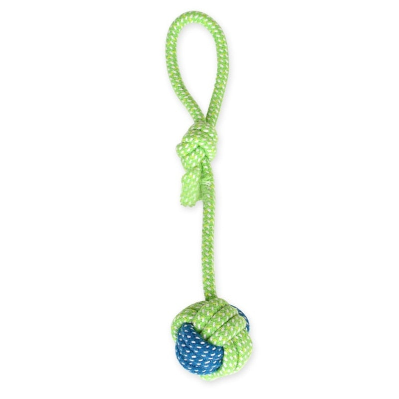 13 Pet Toys for Small Dogs