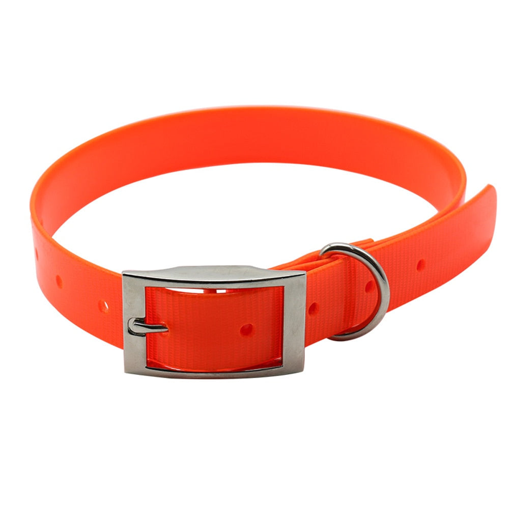 Nylon Dog Collar