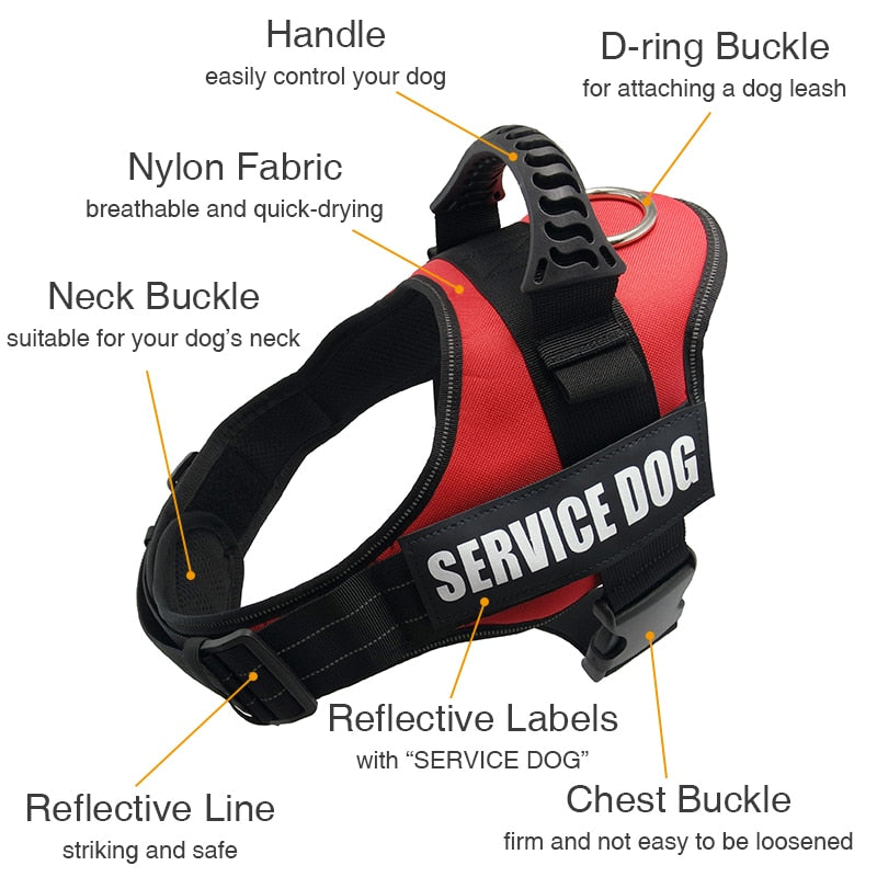 Service Dog Harness