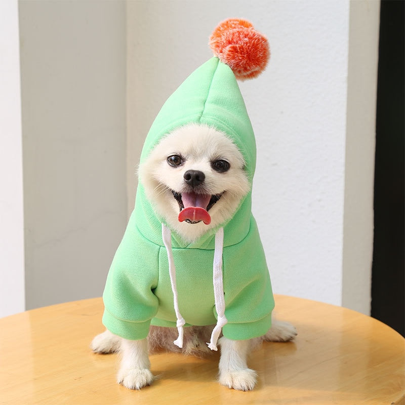 Cute Fruit Dog Clothes