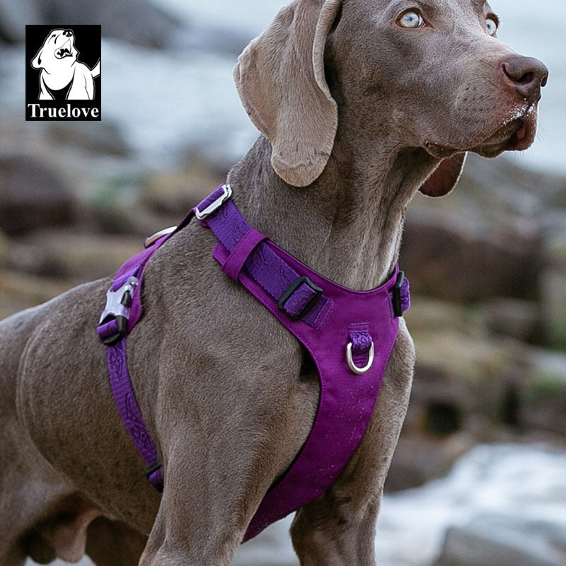 Truelove Waterproof Dog Harness