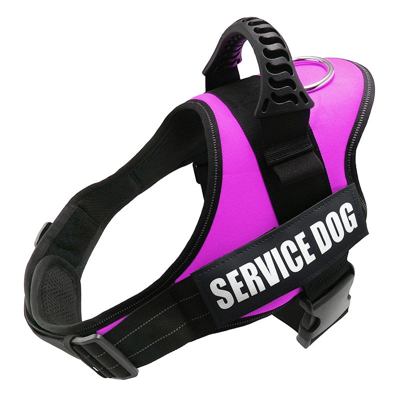 Service Dog Harness