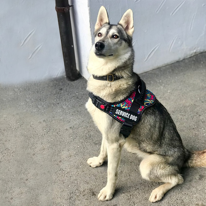 Service Dog Harness