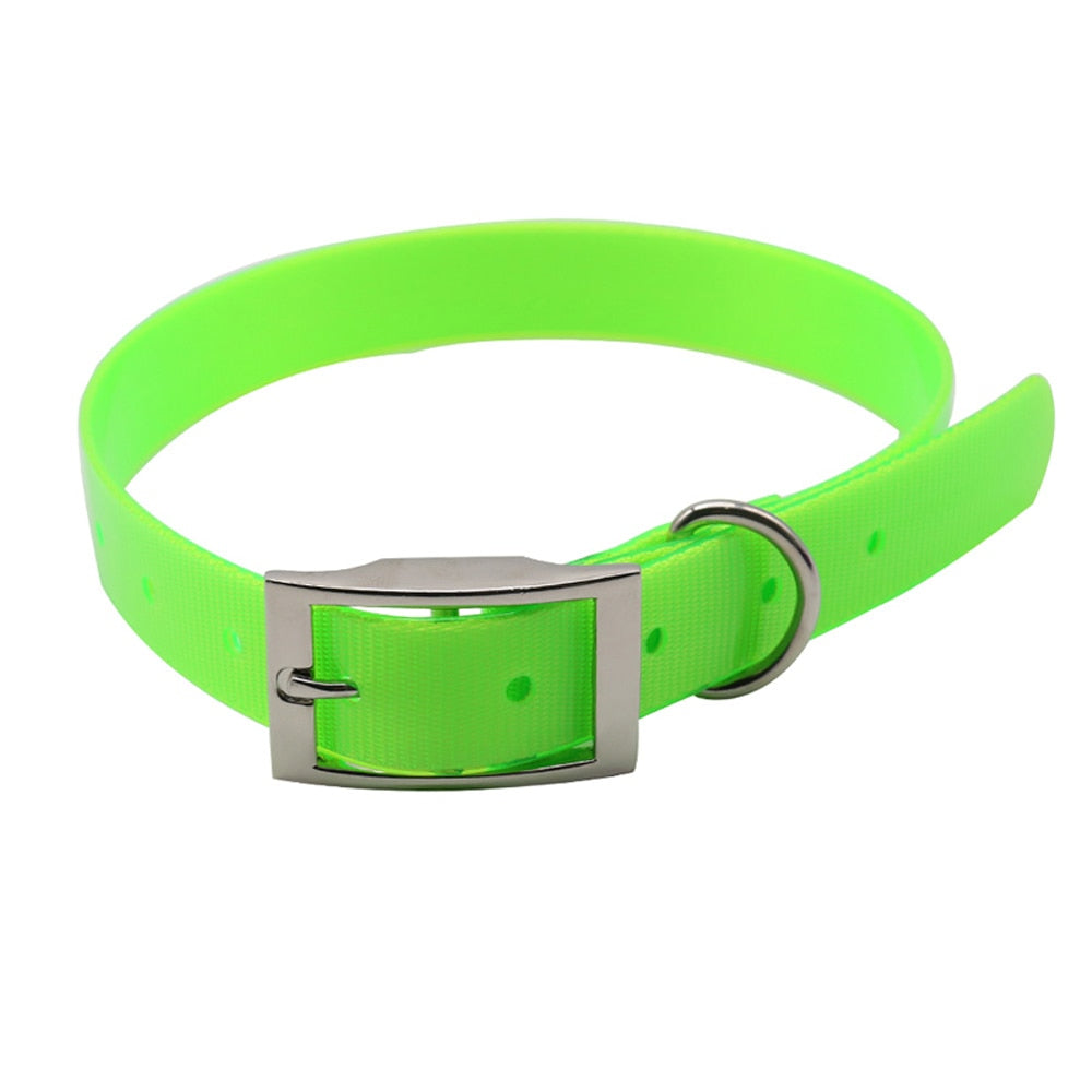 Nylon Dog Collar