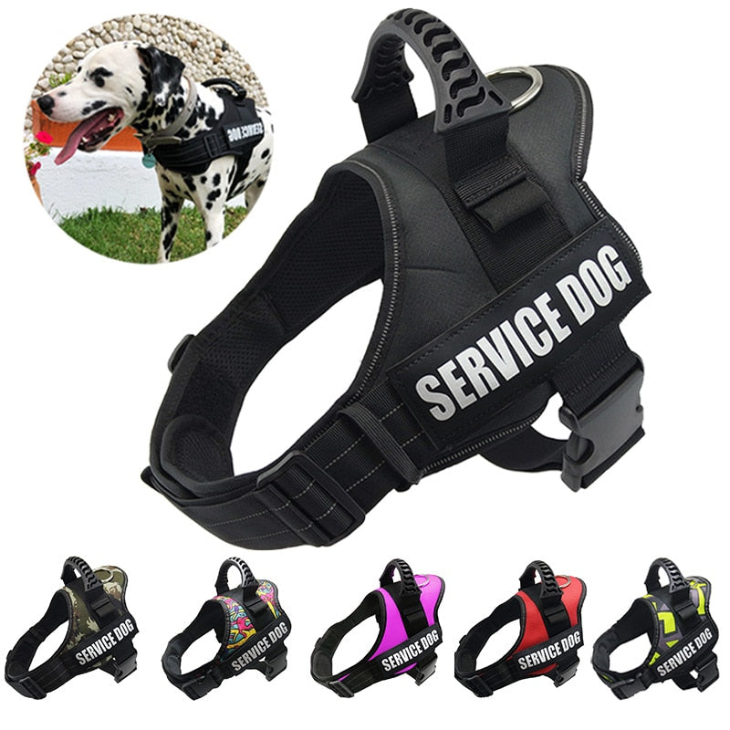 Service Dog Harness