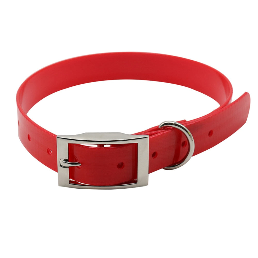 Nylon Dog Collar