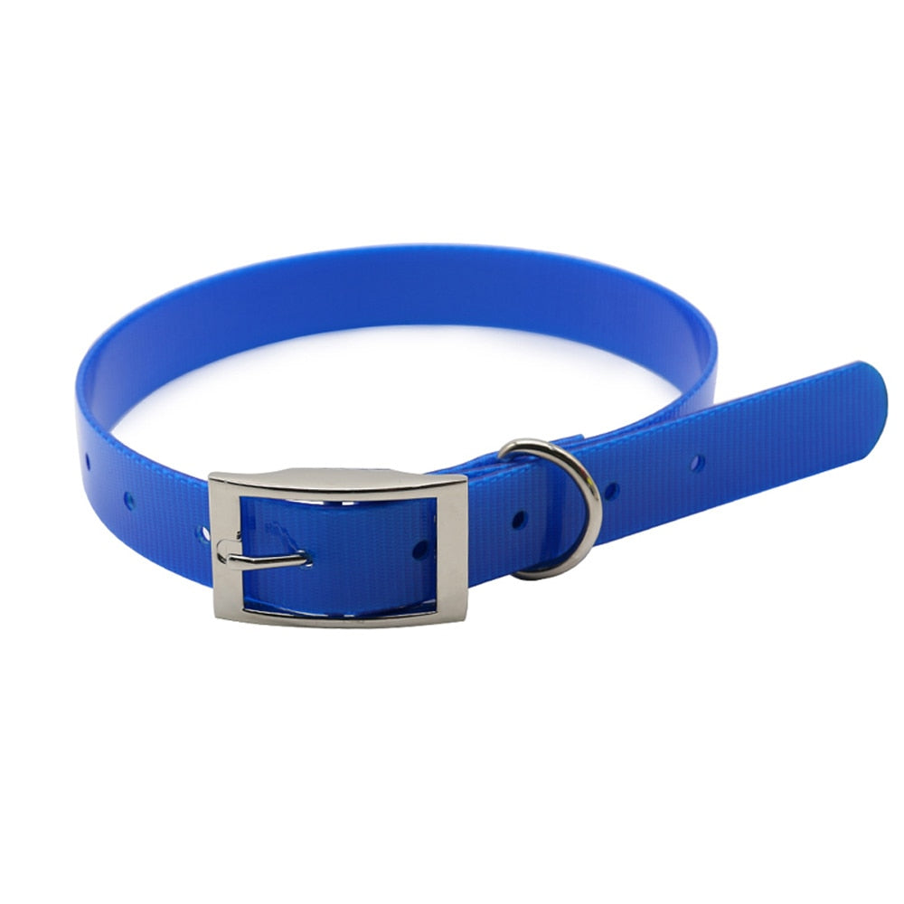 Nylon Dog Collar