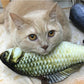 Fish Pet Toy