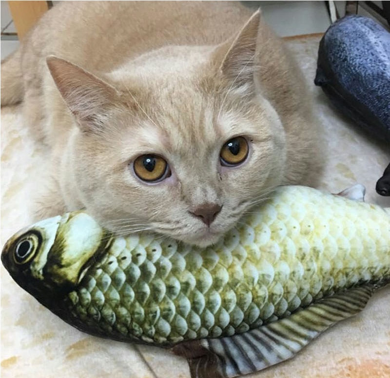 Fish Pet Toy