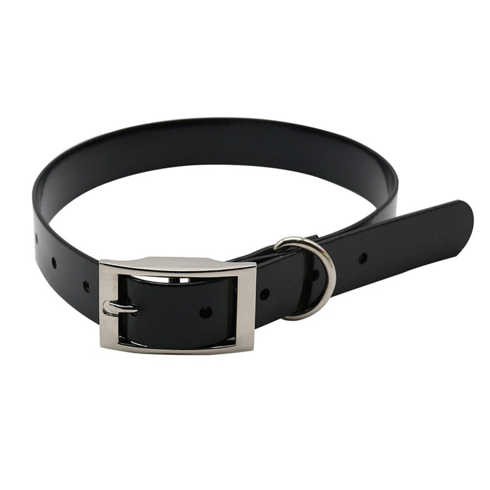 Nylon Dog Collar