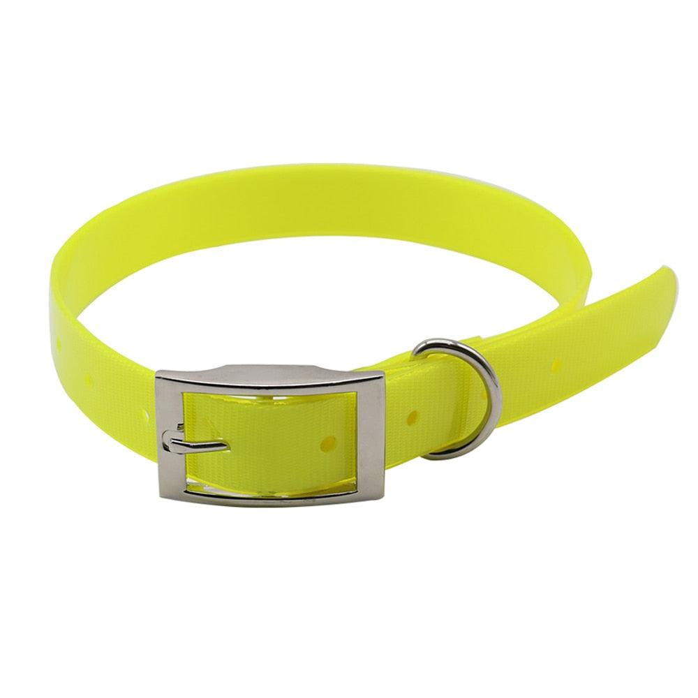 Nylon Dog Collar