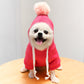 Cute Fruit Dog Clothes
