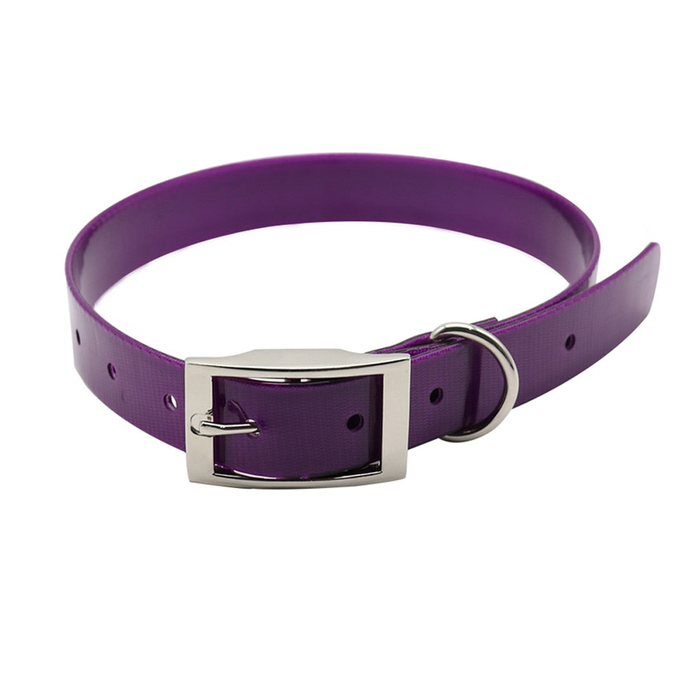 Nylon Dog Collar