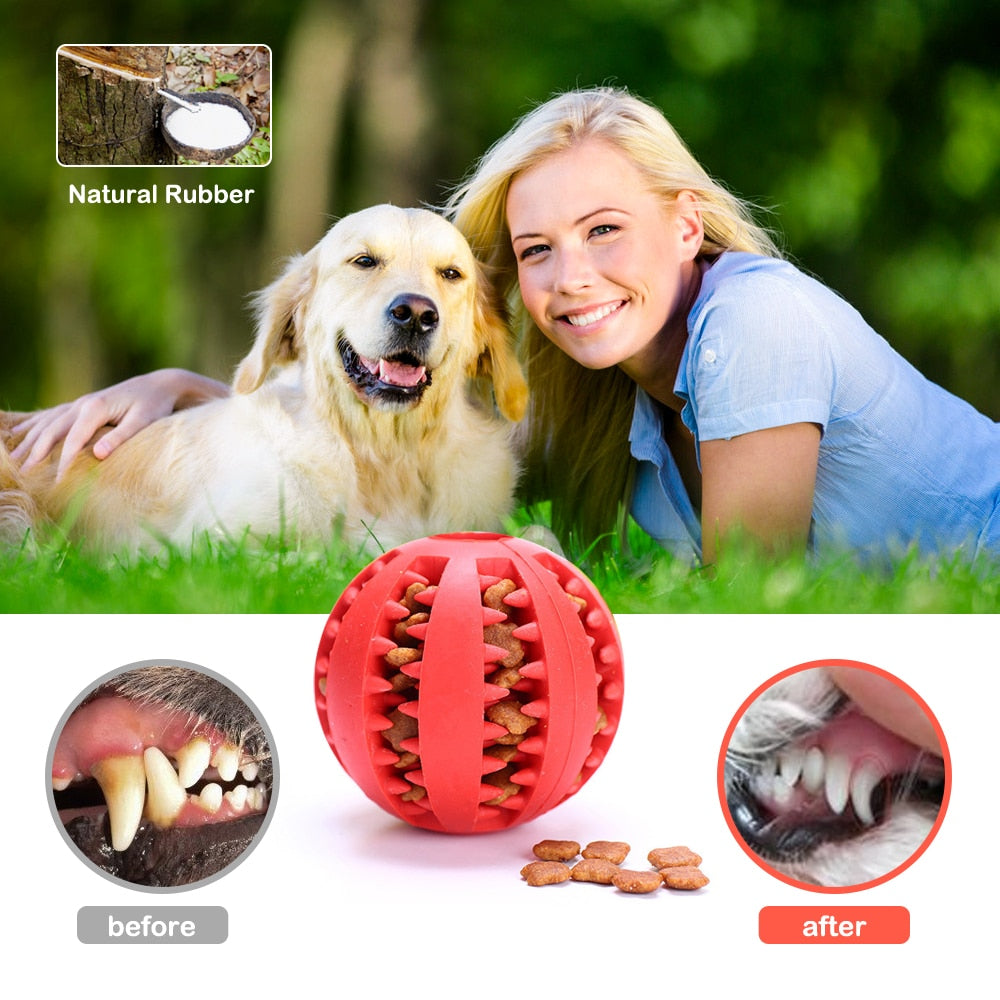 Pet Dog Toy Rubber Balls