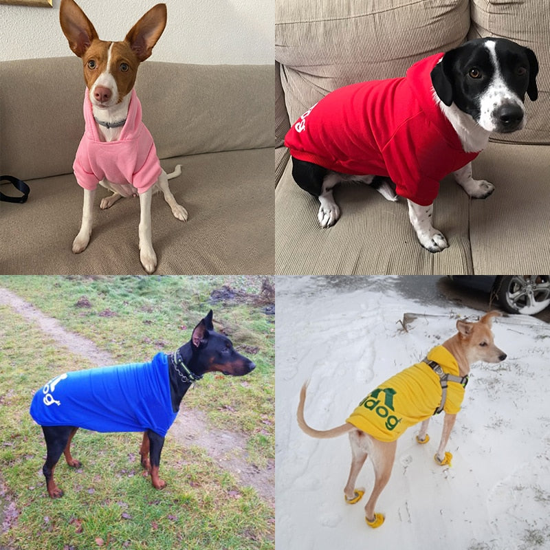 Adidog Dogs Hoodies