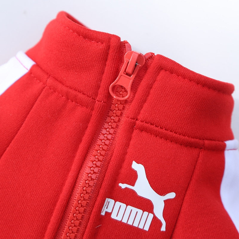 Pomii Dog Sweatshirt